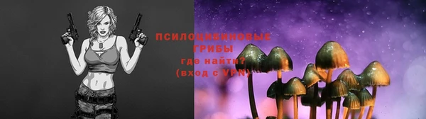 ПСИЛОЦИБИНОВЫЕ ГРИБЫ Снежинск
