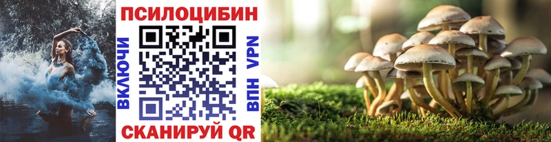 Псилоцибиновые грибы Cubensis  Снежинск 